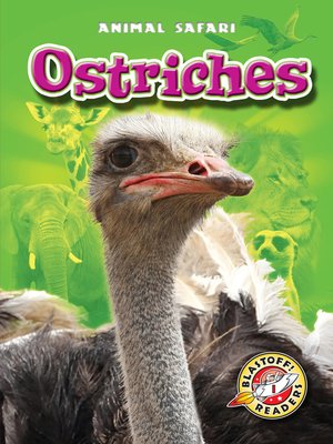 cover image of Ostriches